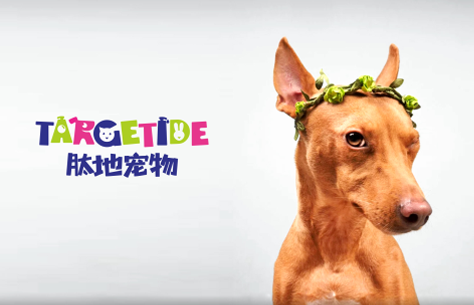 肽地寵物